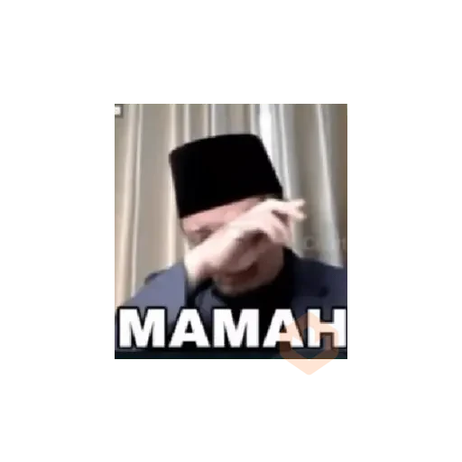 MEME TIKTOK VIRAL sticker 24