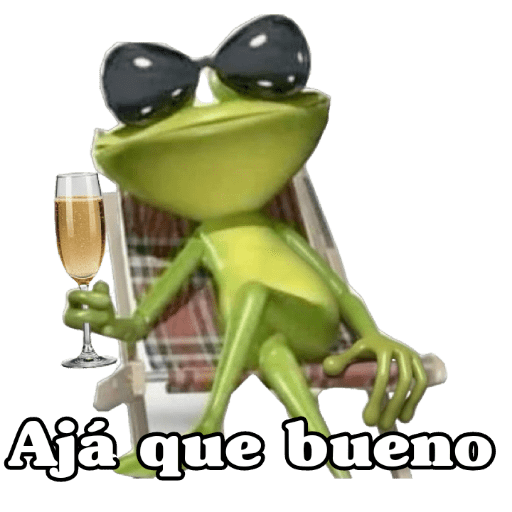 Problema tuyo papi 🐸🕶️🍸 preview