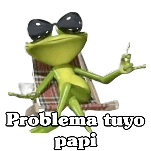 Problema tuyo papi 🐸🕶️🍸 preview