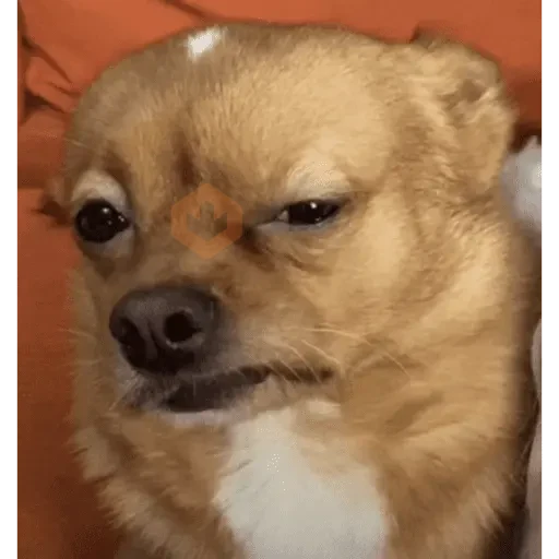comentarios de tiktok sticker 15