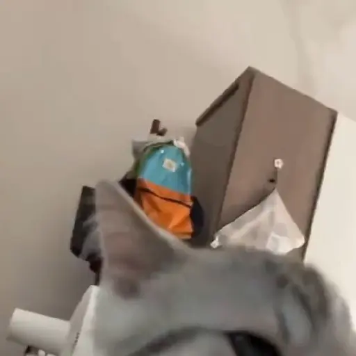 🎵 TIKTOKeando 42🎵