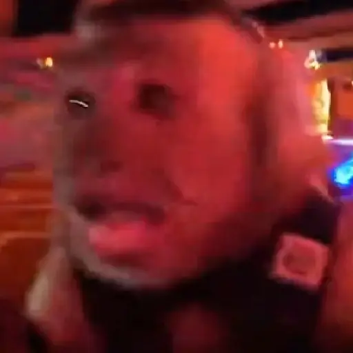 🎵 TIKTOKeando 42🎵