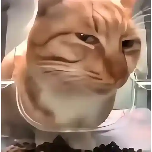 🎵 TIKTOKeando 42🎵