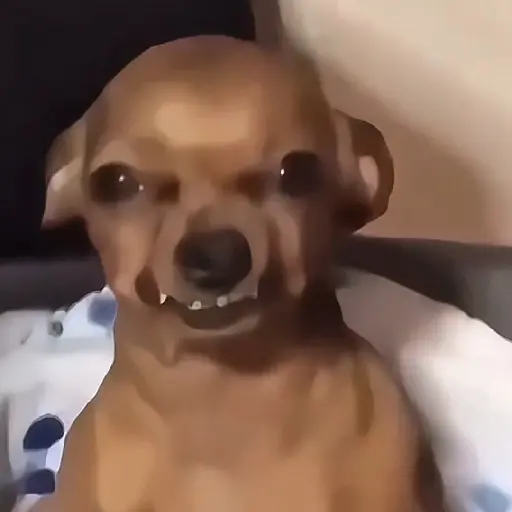 🎵 TIKTOKeando 42🎵