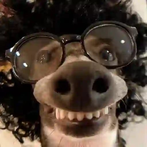 🎵 TIKTOKeando 42🎵