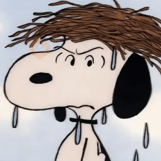 🦴🏠 SNOOPY 10 [Enojado] 🏠🦴 sticker 14