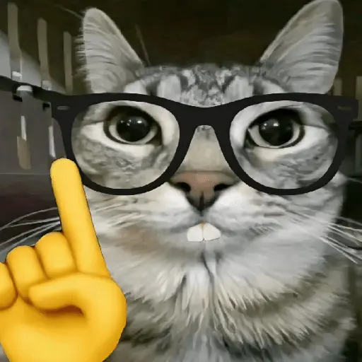 🐈‍⬛🐱🧶 GATOS | CATS 2 🧶🐱🐈‍⬛