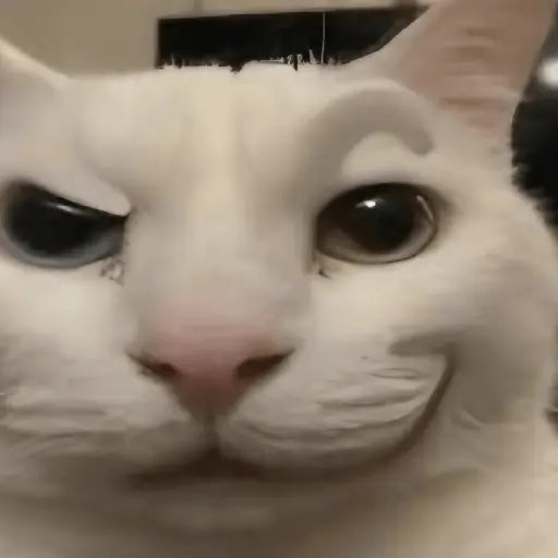 🐈‍⬛🐱🧶 GATOS | CATS 2 🧶🐱🐈‍⬛