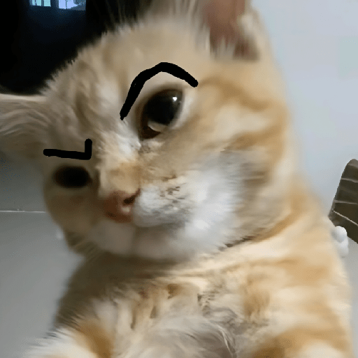 🐈‍⬛🐱🧶 GATOS | CATS 2 🧶🐱🐈‍⬛ preview