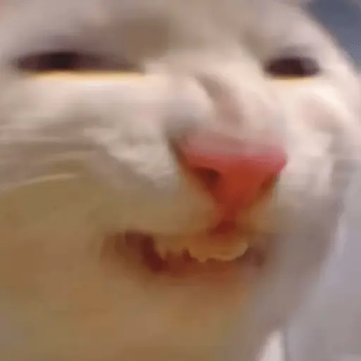🐈‍⬛🐱🧶 GATOS | CATS 2 🧶🐱🐈‍⬛