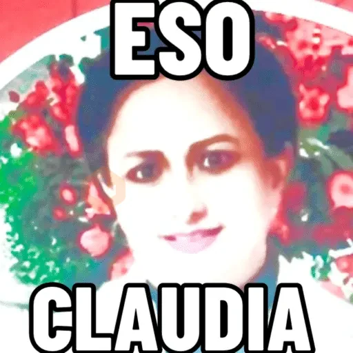 Mis pegatinas sticker 18