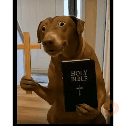 Reacciones de tik tok sticker 14