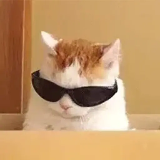 Meme Kucing Imut #2 preview