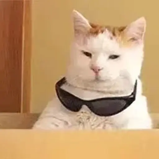 Meme Kucing Imut #2