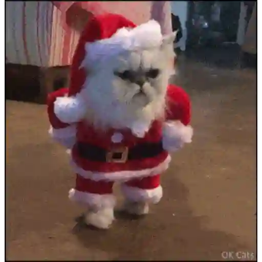 Memes navideños bailando