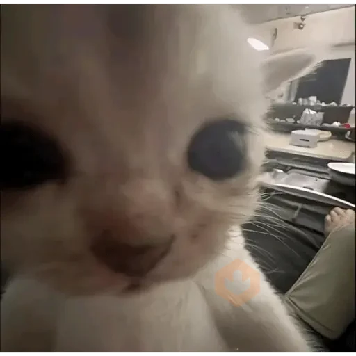 Stickers de tiktok sticker 18