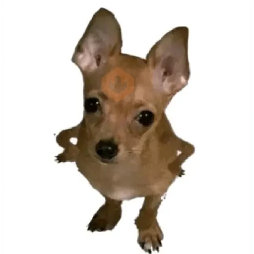Stickers de tiktok sticker 14