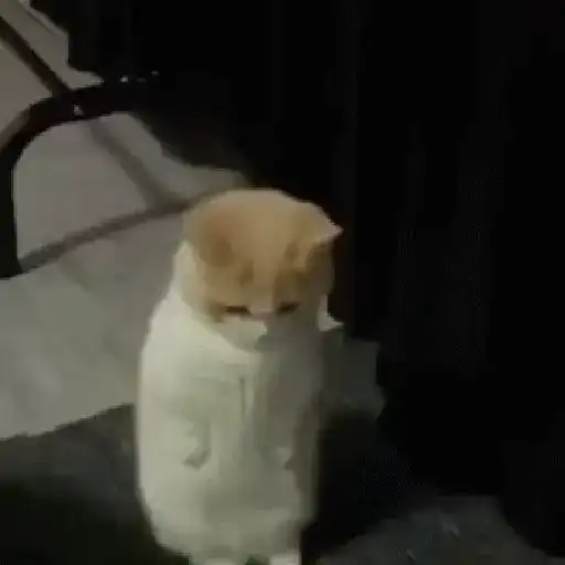 Eres panadera 🫦 tu papá es un