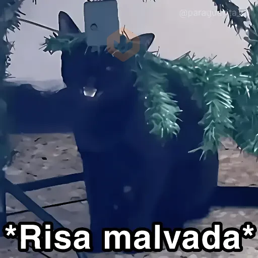 🐈‍⬛🎄LA GATA LOCA🎄Tiktok🎄🐈‍⬛ sticker 20