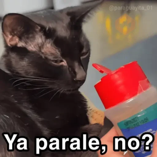 🐈‍⬛🎄LA GATA LOCA🎄Tiktok🎄🐈‍⬛ sticker 19