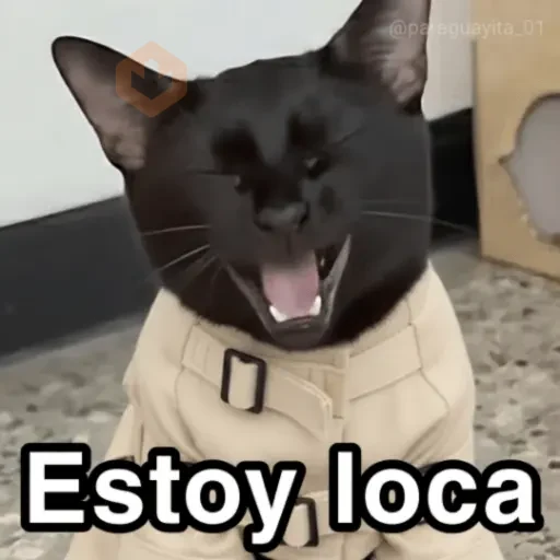 🐈‍⬛🎄LA GATA LOCA🎄Tiktok🎄🐈‍⬛ sticker 22