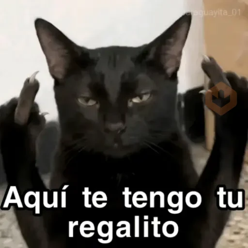 🐈‍⬛🎄LA GATA LOCA🎄Tiktok🎄🐈‍⬛ sticker 27