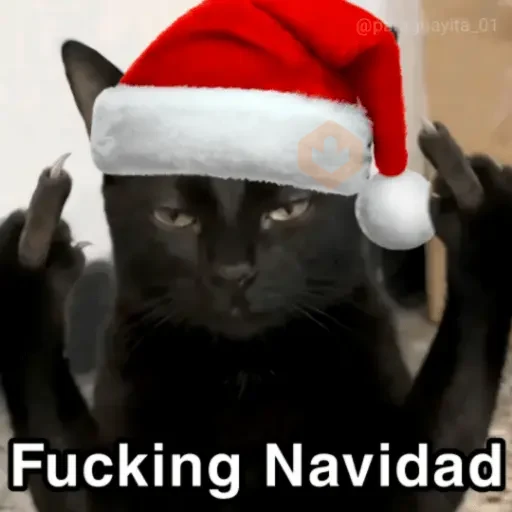 🐈‍⬛🎄LA GATA LOCA🎄Tiktok🎄🐈‍⬛ sticker 11