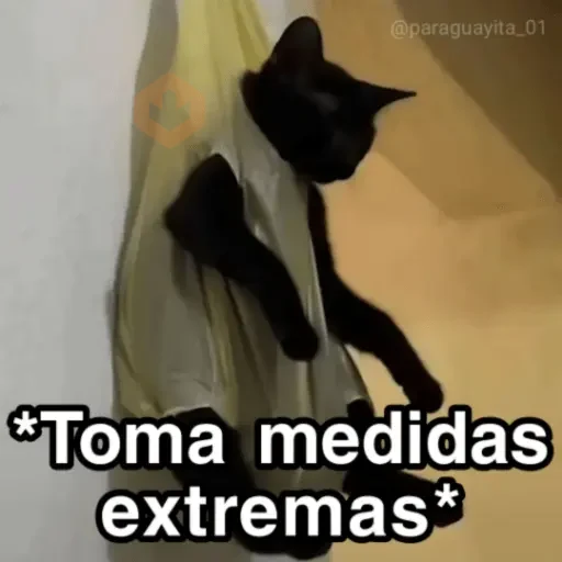 🐈‍⬛🎄LA GATA LOCA🎄Tiktok🎄🐈‍⬛ sticker 14