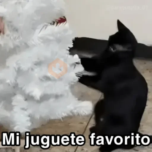 🐈‍⬛🎄LA GATA LOCA🎄Tiktok🎄🐈‍⬛ sticker 16