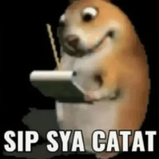 meme reaction tiktok wa sticker 26