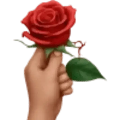 IPHONE San Valentín ♥️ 