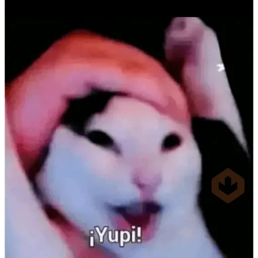 Tiktok comentarios sticker 13