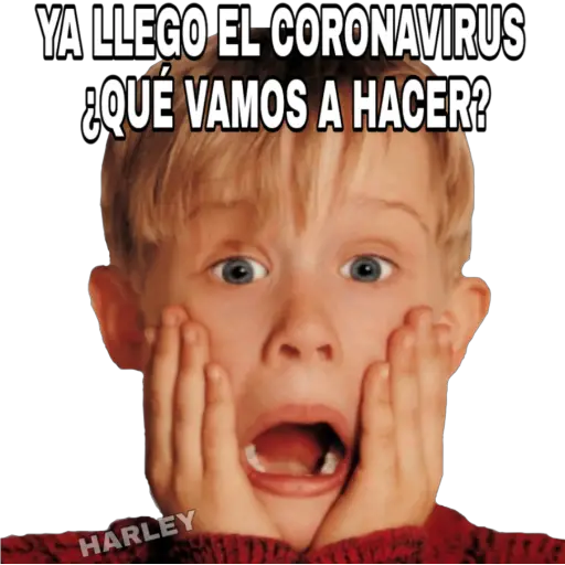 🦠Coronavirus🦠