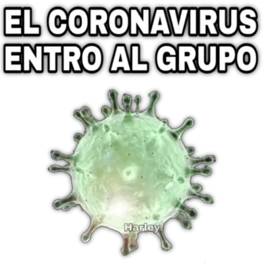 🦠Coronavirus🦠