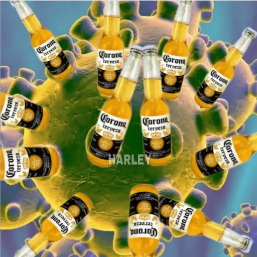 🦠Coronavirus🦠