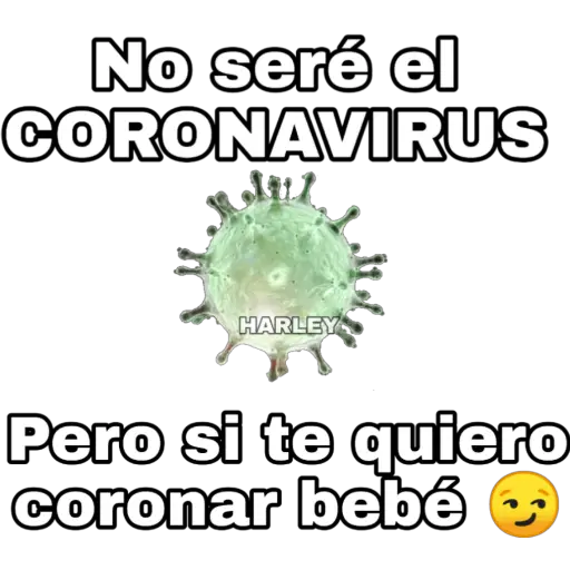 🦠Coronavirus🦠