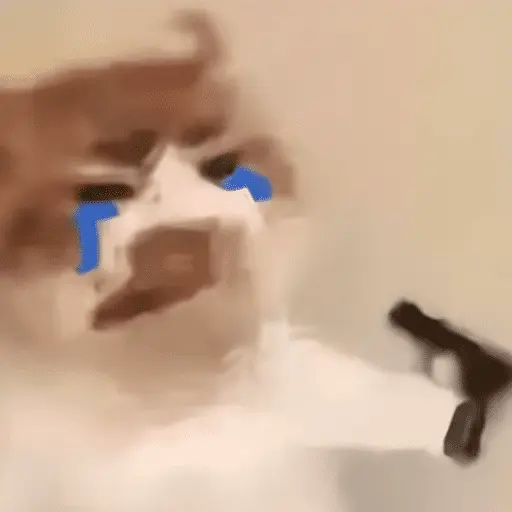 Ratoncito de tiktok