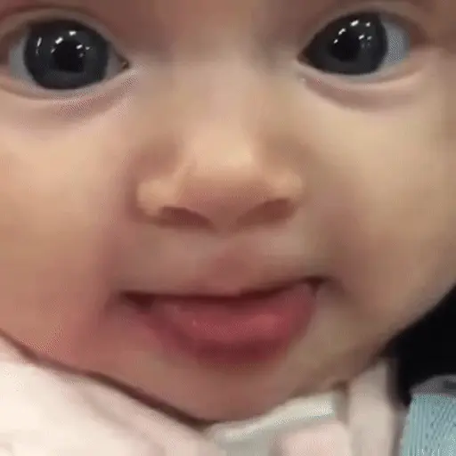 🧸🍼 Bebés funny reacciones 🍼👶🏻 preview