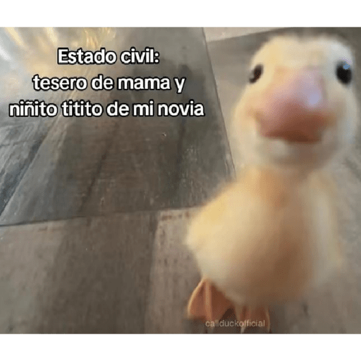 Humor y amor preview