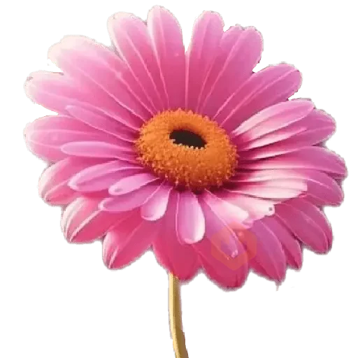 San Valentín 💐 sticker 12