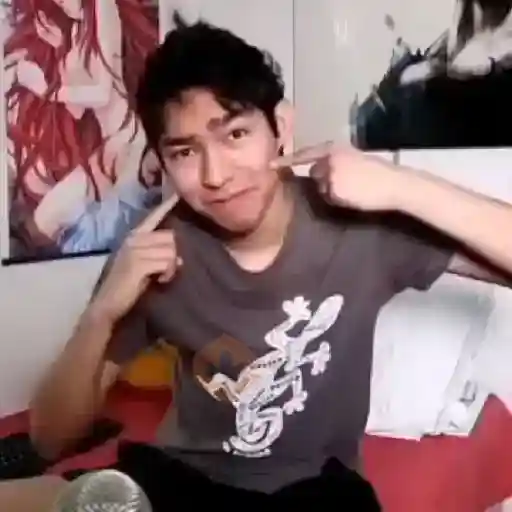 Fernanfloo 👶🏻🔥 sticker 21