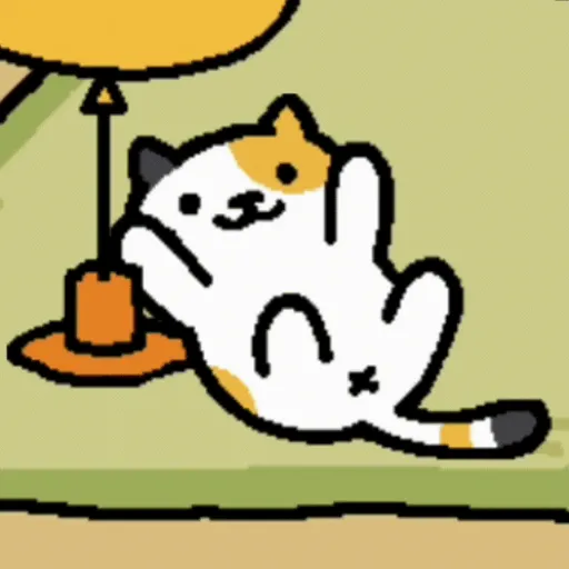 Gatitos lindos para el chat ❤️🐈