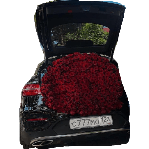 SERENATA WHATS preview