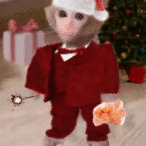 Monitos Navideños ❤️🐒🎄