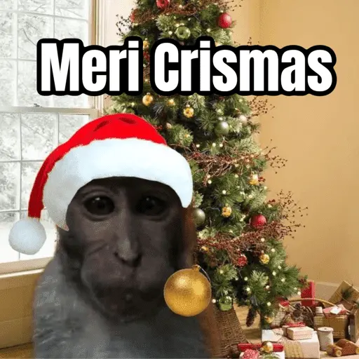 Monitos Navideños ❤️🐒🎄