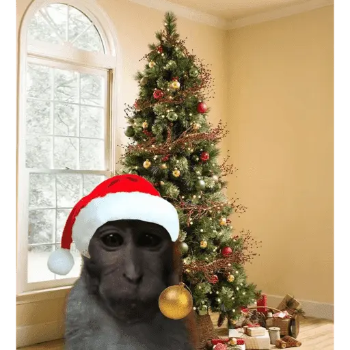 Monitos Navideños ❤️🐒🎄