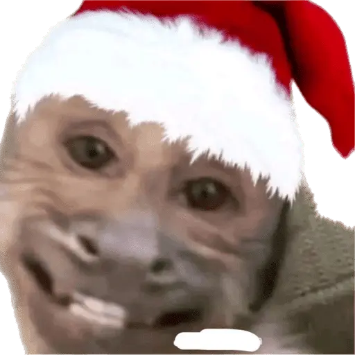 Monitos Navideños ❤️🐒🎄