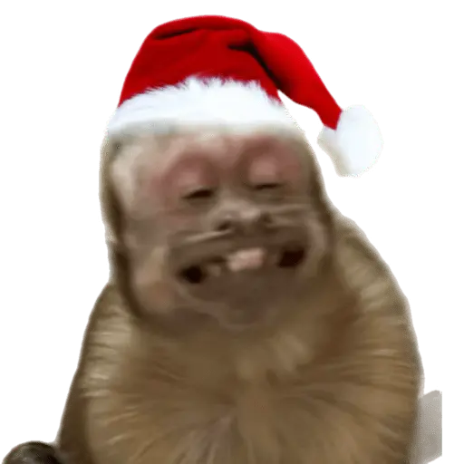 Monitos Navideños ❤️🐒🎄