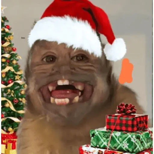 Monitos Navideños ❤️🐒🎄