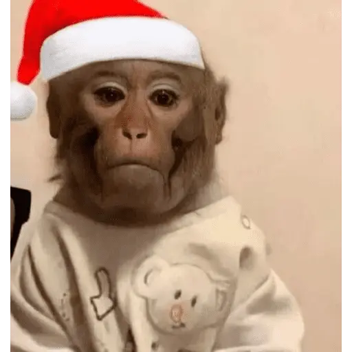 Monitos Navideños ❤️🐒🎄
